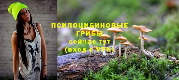 mdma Инсар